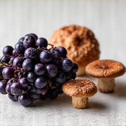 Vibrant elderberries and various medicinal mushrooms, representing immune support.