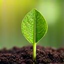 Close-up of a vibrant green plant sprout with dew drops, symbolizing growth and health